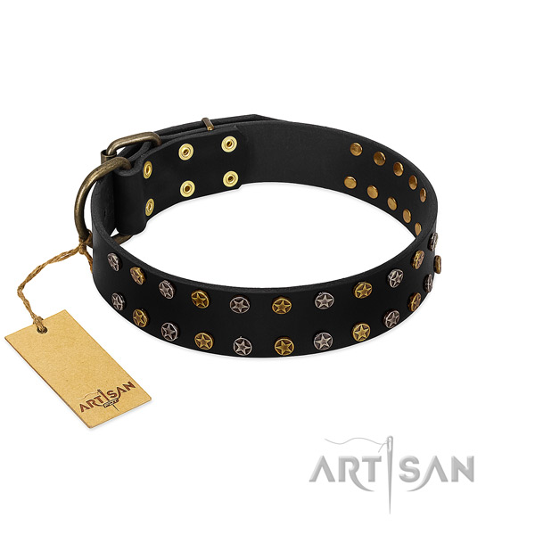 Exceptional full grain leather dog collar with corrosion resistant studs