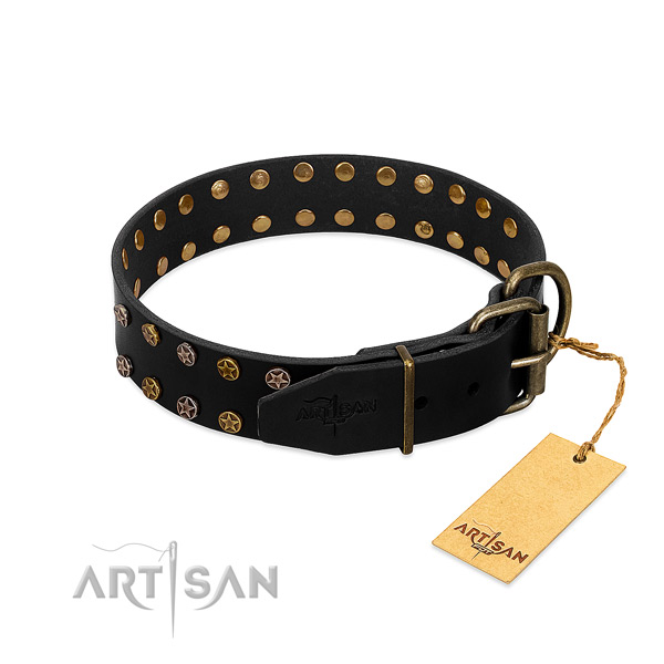 Natural leather collar with stylish design adornments for your doggie