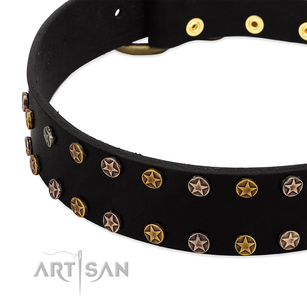 Incredible adornments on genuine leather collar for your canine