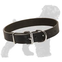 Icredible Price of Leather Collar