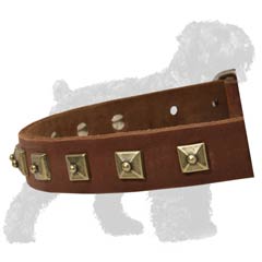 Unique Design Leather Collar for Russian Terrier