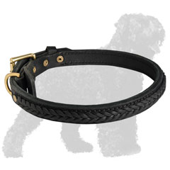 Strong and Durable Leather Collar