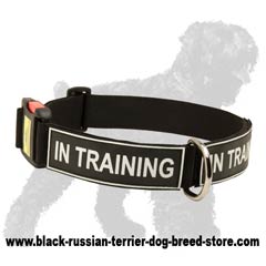 Obedience Training Nylon Dog Collar