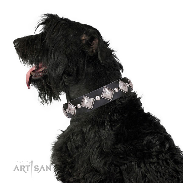 Fancy walking studded dog collar of top notch natural leather
