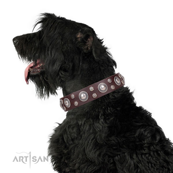 Easy wearing decorated dog collar of top notch genuine leather