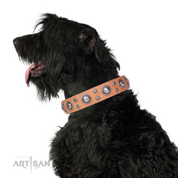Comfy wearing adorned dog collar of best quality genuine leather