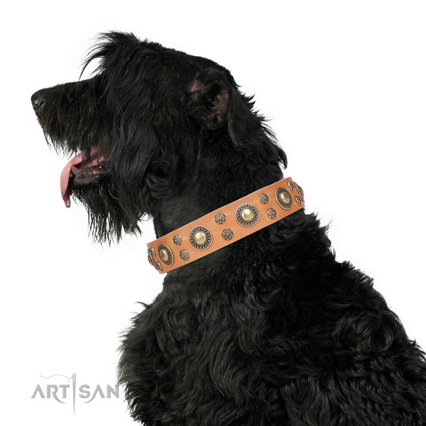 Everyday walking decorated dog collar of fine quality material