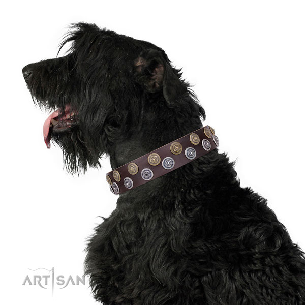 Comfortable wearing decorated dog collar of finest quality material