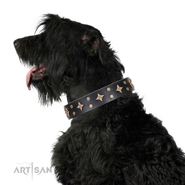 Stylish walking studded dog collar of reliable material