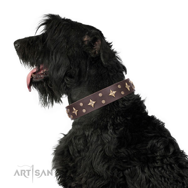 Comfortable wearing embellished dog collar of high quality material