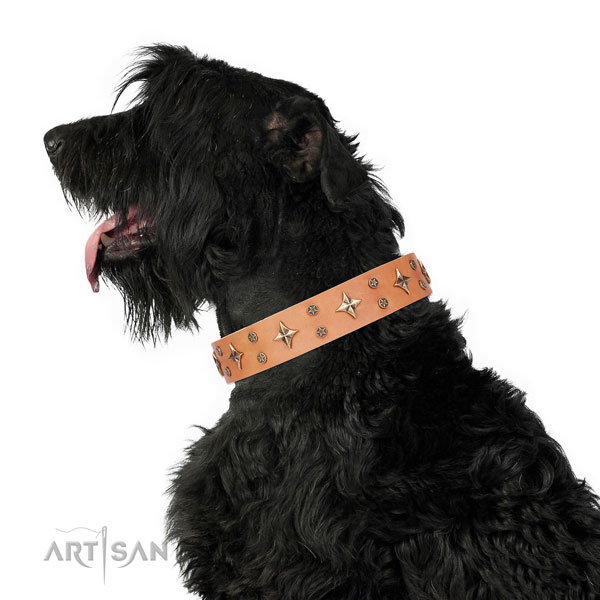 Everyday use embellished dog collar of high quality material