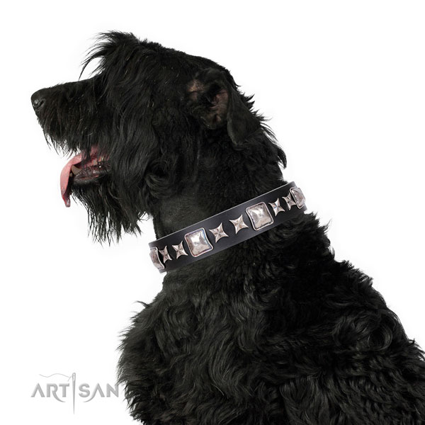 Everyday walking embellished dog collar of fine quality material