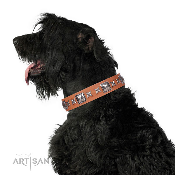 Fancy walking adorned dog collar of high quality material