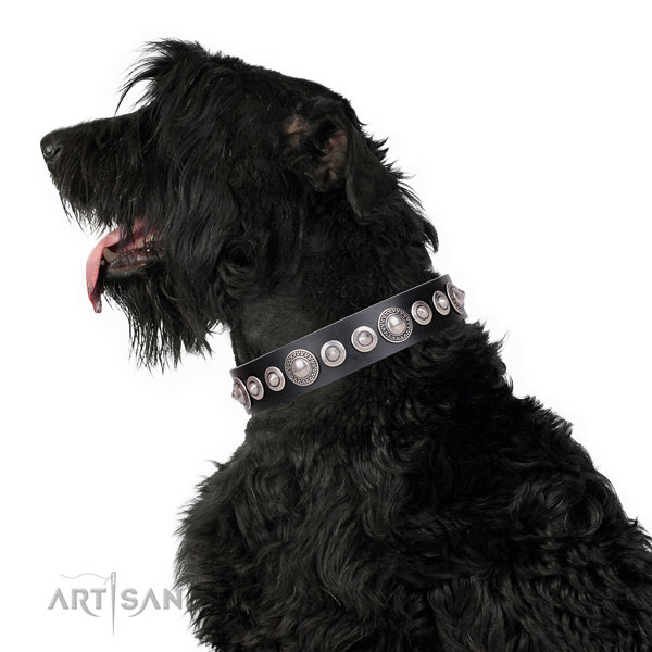 Stylish design decorated leather dog collar for easy wearing