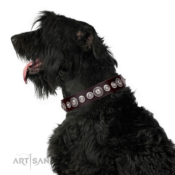 Inimitable studded natural leather dog collar for comfy wearing