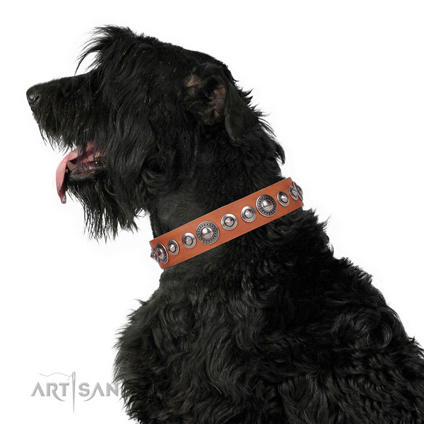 Remarkable adorned natural leather dog collar for fancy walking