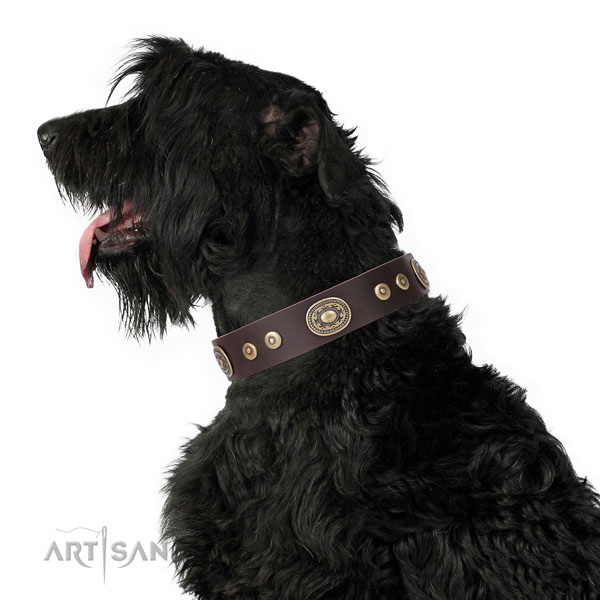 Impressive decorated genuine leather dog collar for stylish walking