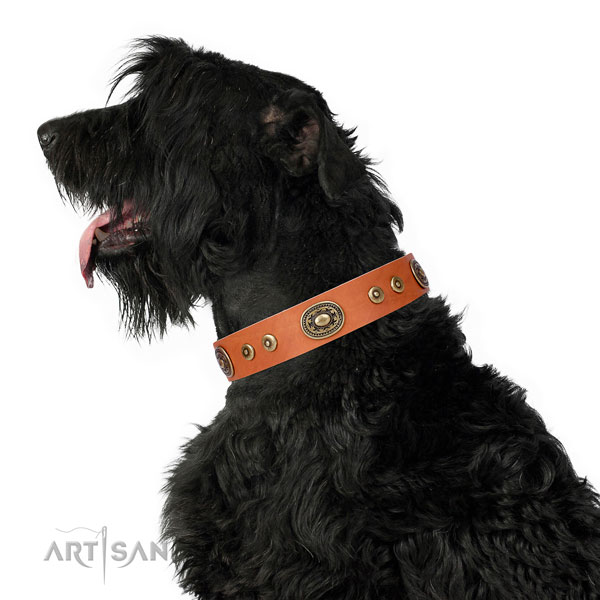 Significant adorned genuine leather dog collar for fancy walking