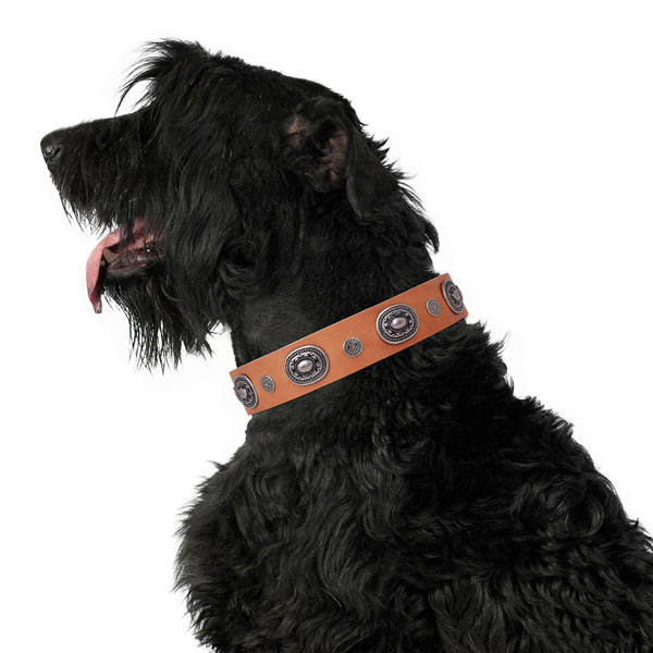 Leather dog collar with reliable buckle and D-ring for comfy wearing