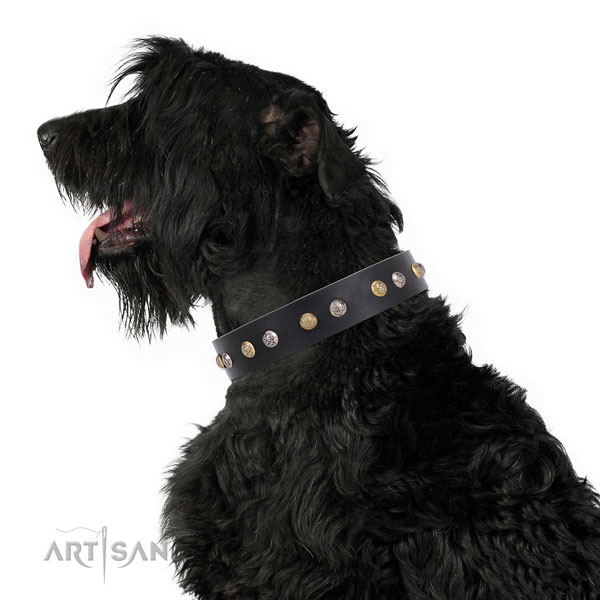 Leather dog collar with rust-proof buckle and D-ring for daily walking