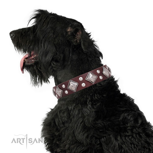 Basic training adorned dog collar made of reliable leather