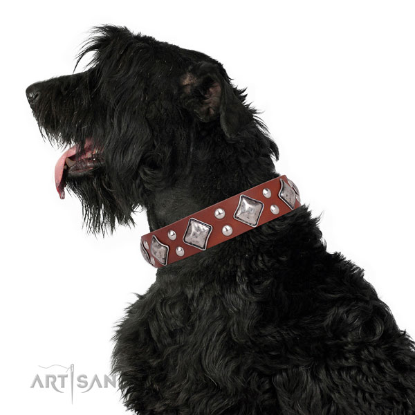 Fancy walking adorned dog collar made of top notch natural leather