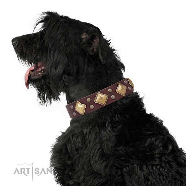 Walking adorned dog collar made of durable genuine leather