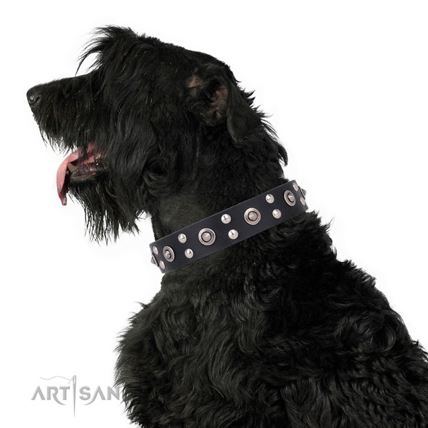 Stylish walking embellished dog collar made of high quality natural leather