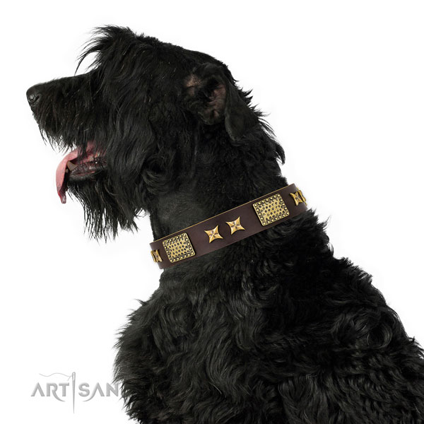 Fancy walking dog collar with extraordinary decorations