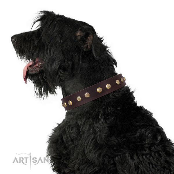 Stylish design studs on easy wearing full grain leather dog collar