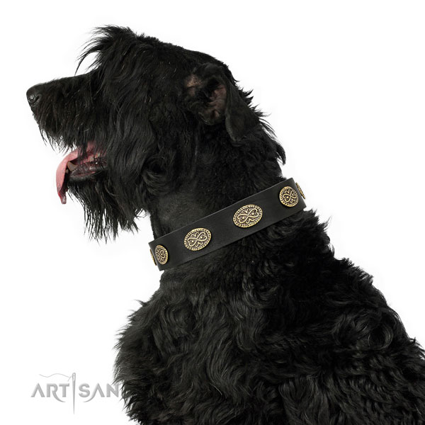 Stylish design studs on easy wearing full grain genuine leather dog collar