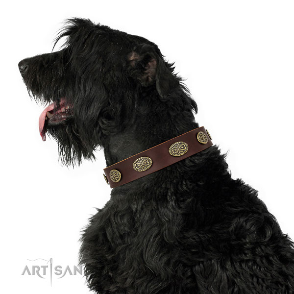 Top notch decorations on everyday walking full grain genuine leather dog collar
