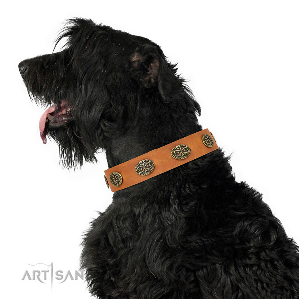 Remarkable adornments on basic training natural genuine leather dog collar
