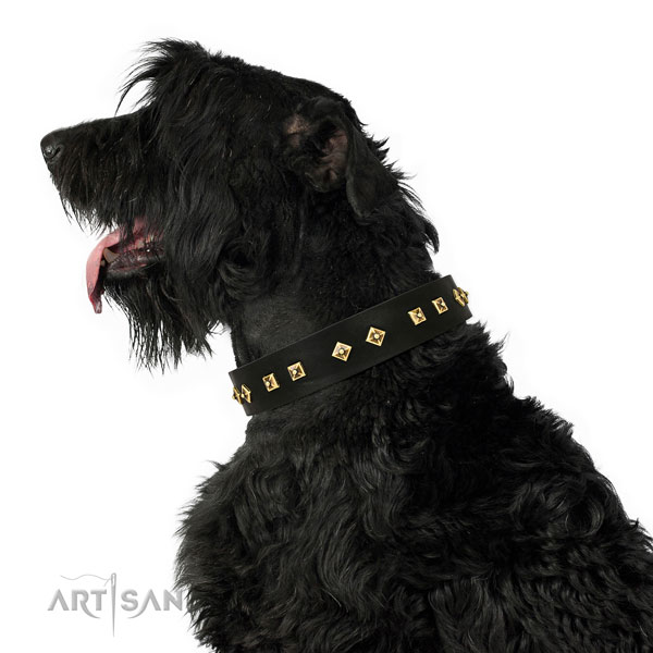 Significant studs on comfortable wearing genuine leather dog collar