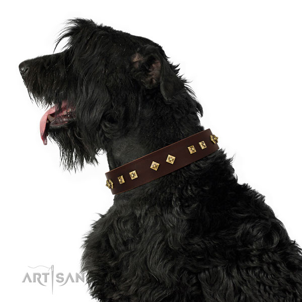Exquisite embellishments on daily walking full grain leather dog collar