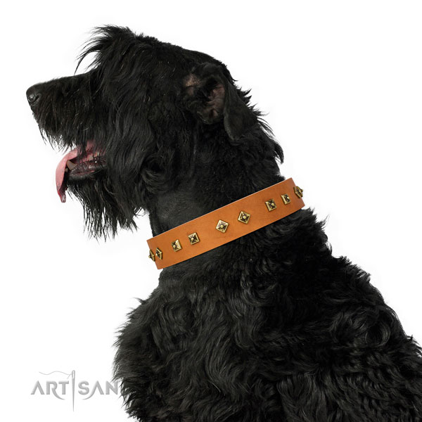 Impressive embellishments on handy use dog collar