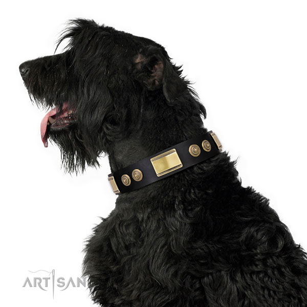 Top notch embellishments on stylish walking dog collar