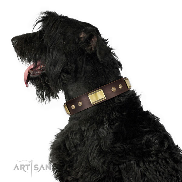 Everyday walking dog collar of leather with designer adornments