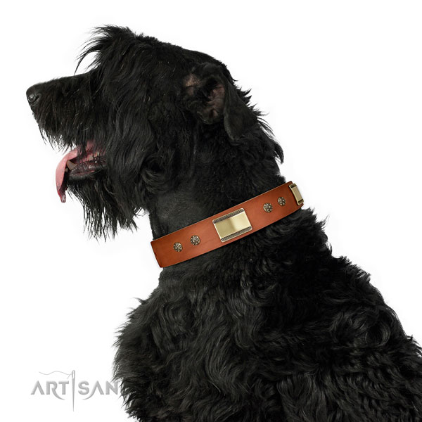 Easy wearing dog collar of leather with unique decorations
