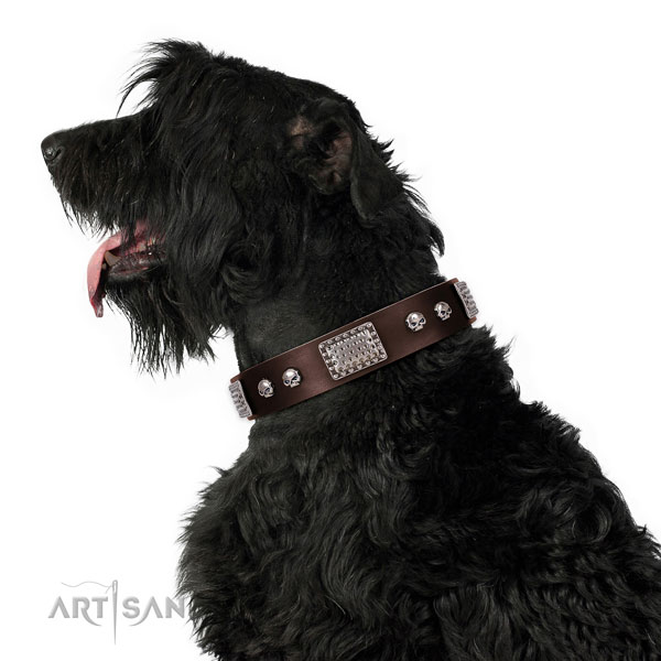Handcrafted full grain leather collar for your beautiful dog