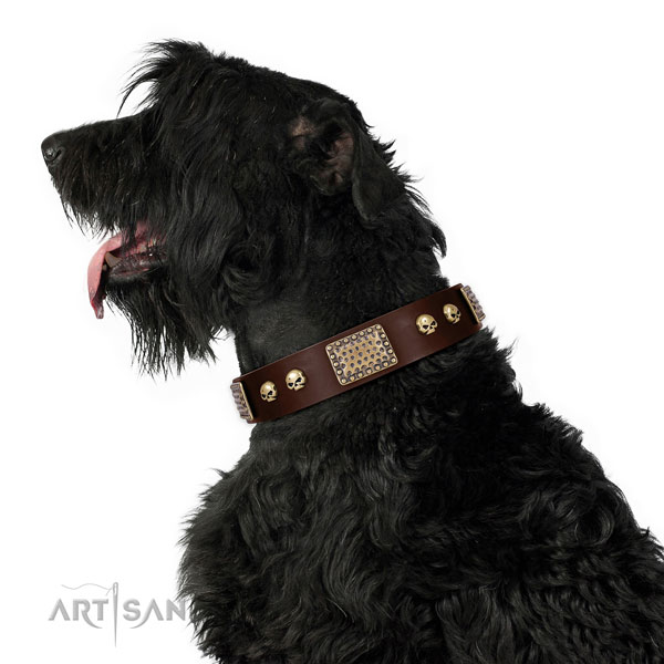 Rust resistant hardware on full grain natural leather dog collar for stylish walking