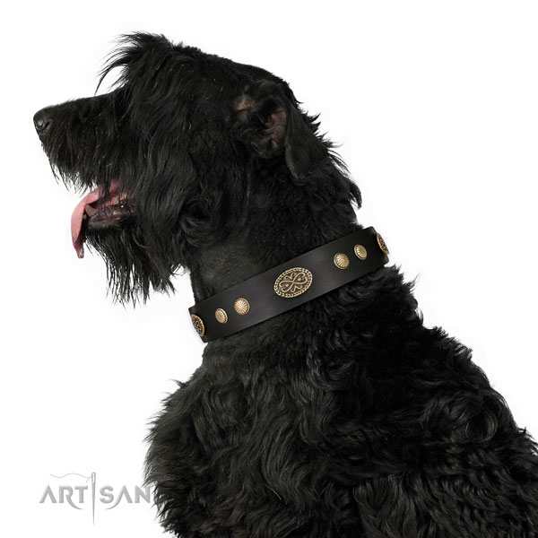 Corrosion proof buckle on leather dog collar for fancy walking