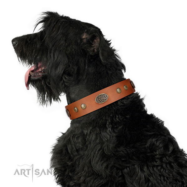 Rust-proof traditional buckle on leather dog collar for fancy walking