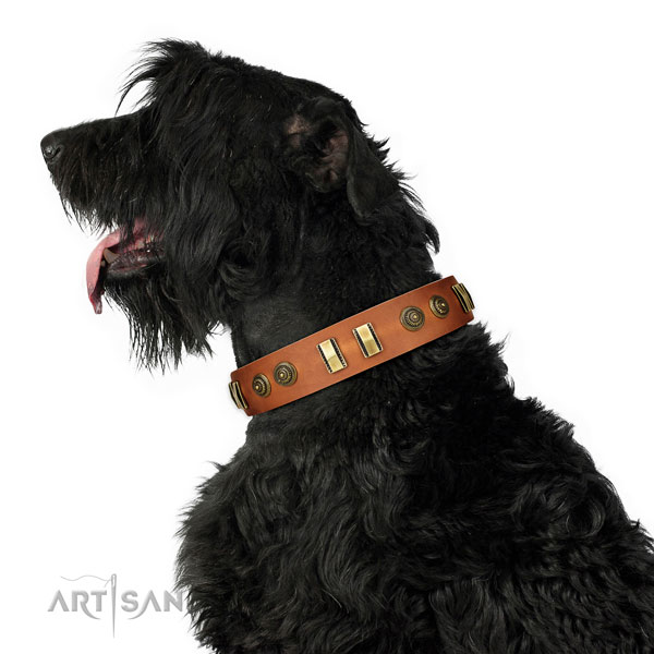 Durable D-ring on full grain genuine leather dog collar for walking