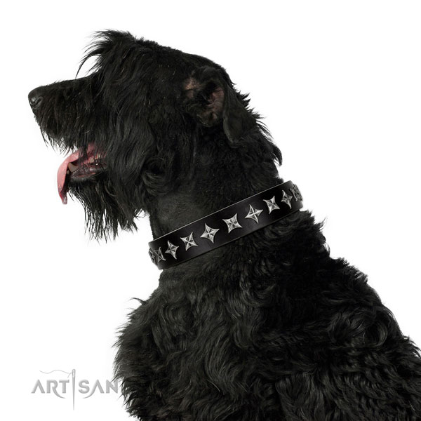 Comfortable wearing adorned dog collar of reliable genuine leather