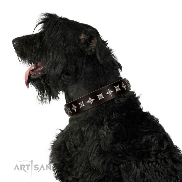 Basic training embellished dog collar of top quality leather