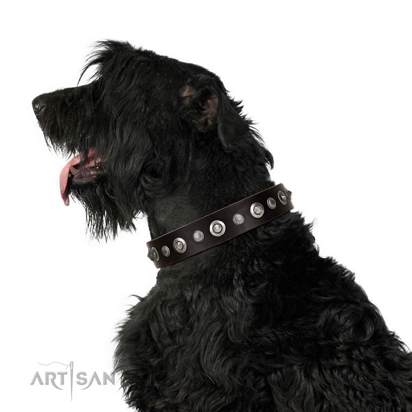 Durable natural leather dog collar with designer studs