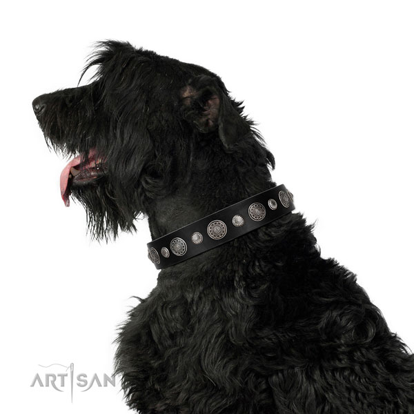 Full grain genuine leather collar with corrosion resistant buckle for your impressive doggie