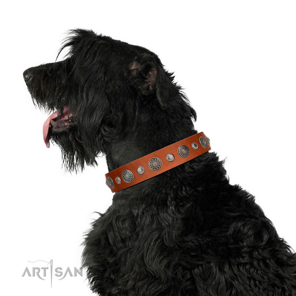 Inimitable full grain genuine leather dog collar with rust resistant fittings
