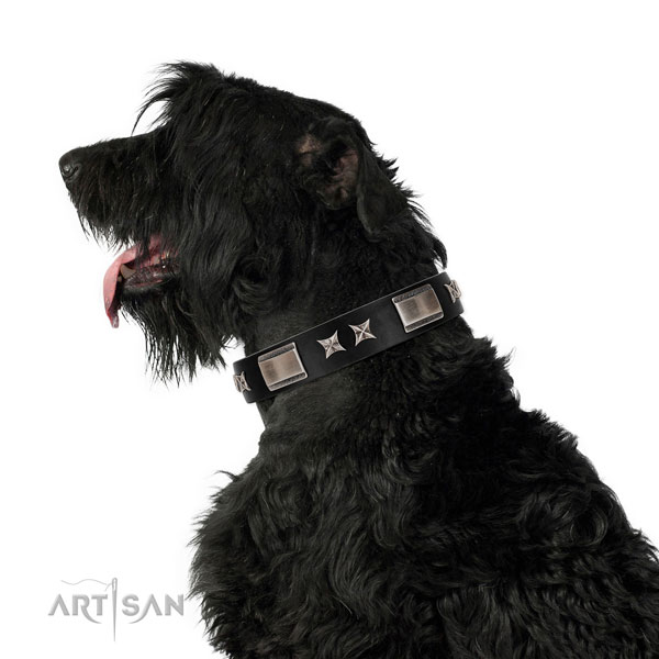 Daily walking high quality genuine leather dog collar with adornments